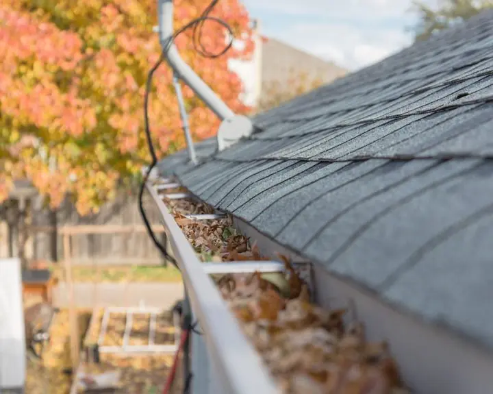 Gutter leaf removal